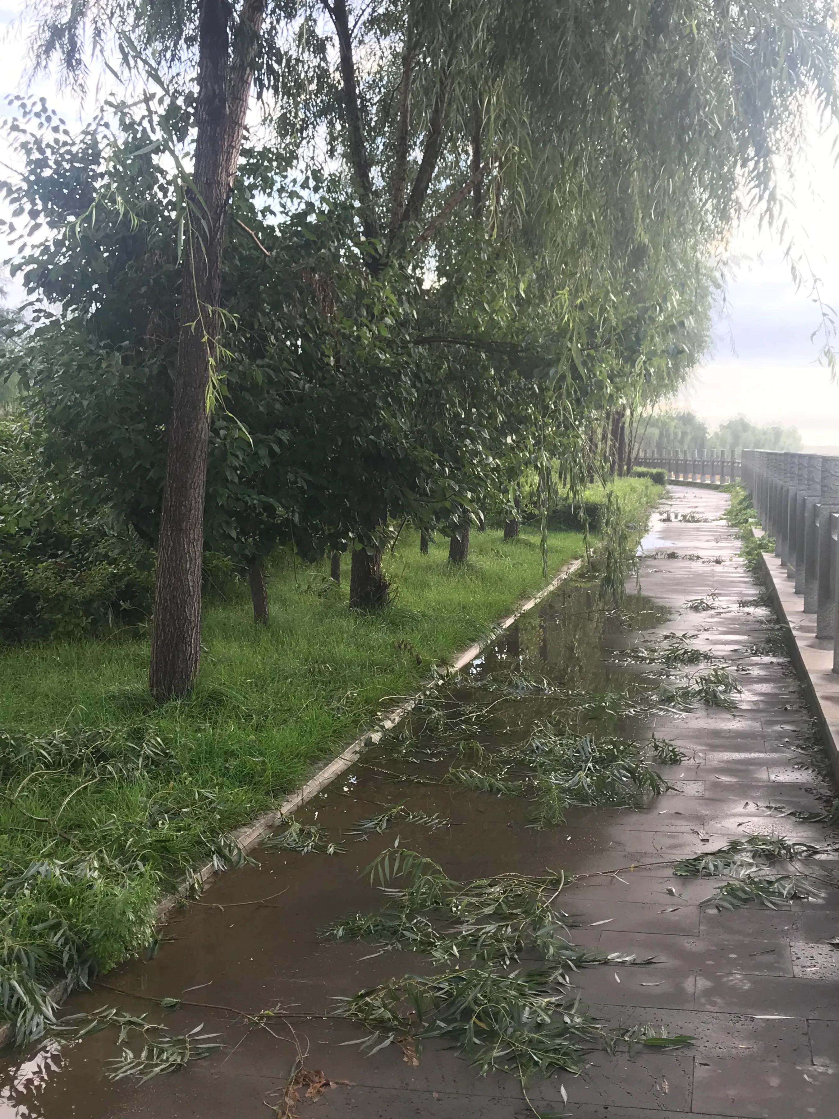 辉南街早市开了吗,辉南朝阳镇早市开门营业时间