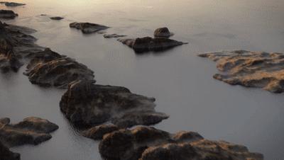 马航mh370航班真实故事,马航mh370上的真实故事