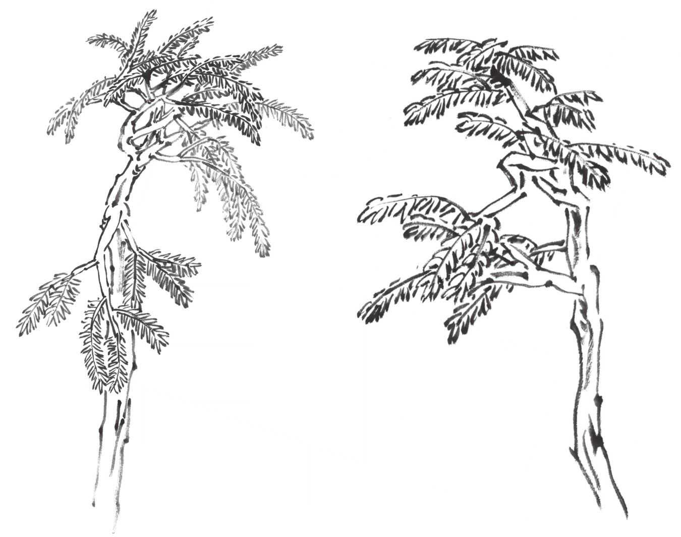 树画简单初学者教程,树画不好看了怎么改