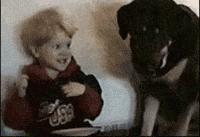 狗狗被孕妈肚子里的宝宝踢了一脚,狗狗怀孕宝宝踢肚子会生吗