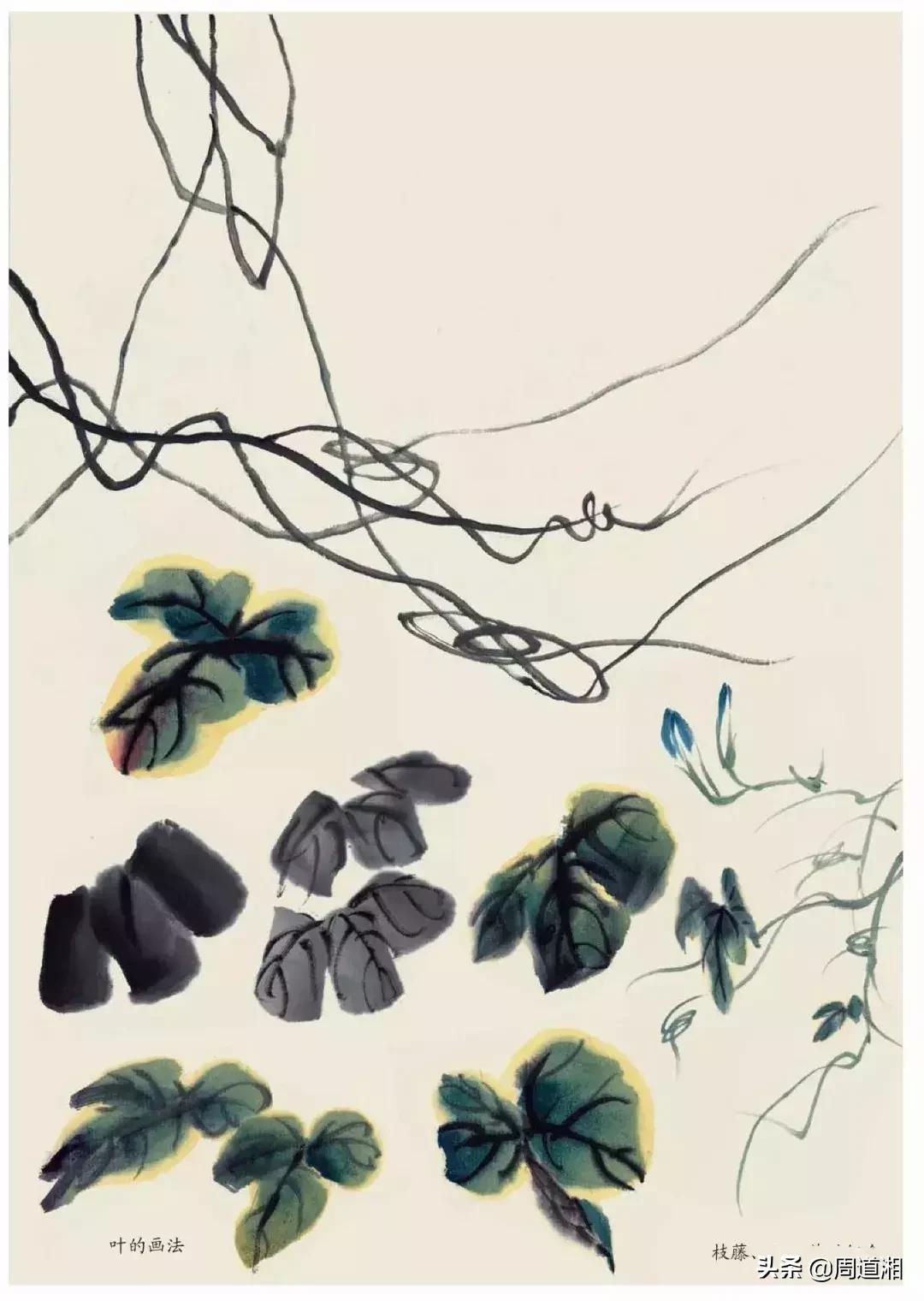 国画花卉大全教程视频,花卉小品国画图片大全