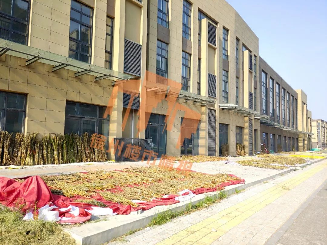 徐州奥体中心哪里的楼盘好,徐州地铁奥体中心