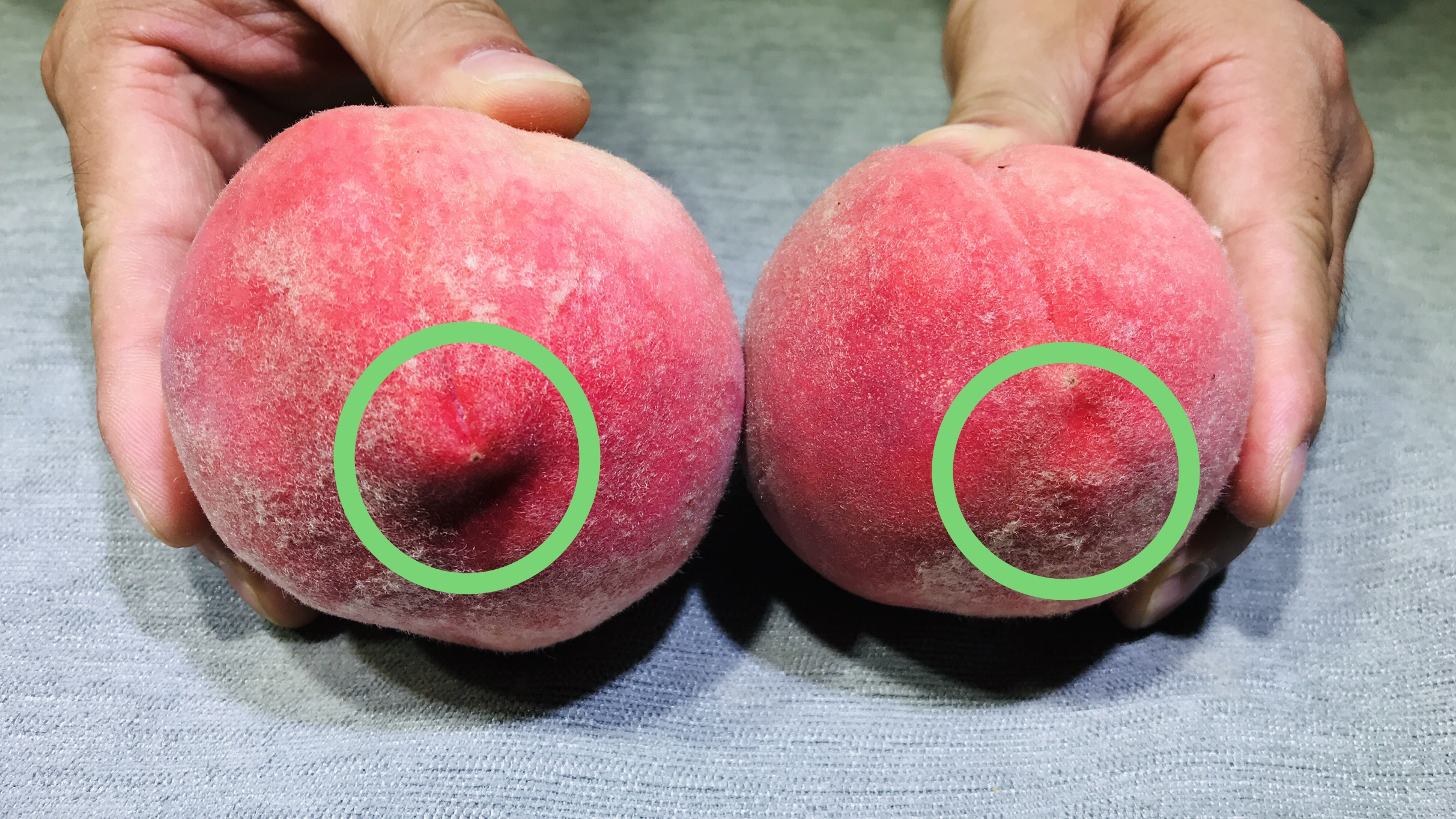 桃子甜不甜好吃,桃子不甜怎么变甜