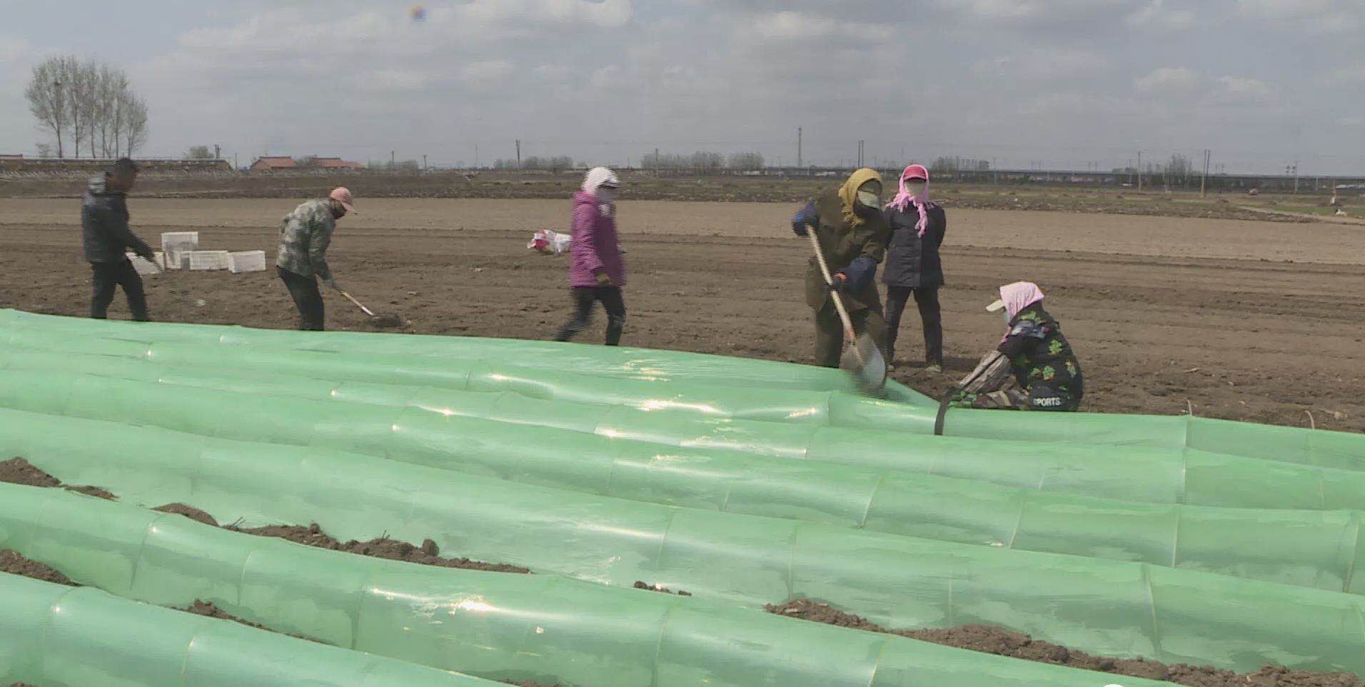 辽宁鞍山：自从种上了葱姜蒜农户生活“调”出好滋味儿