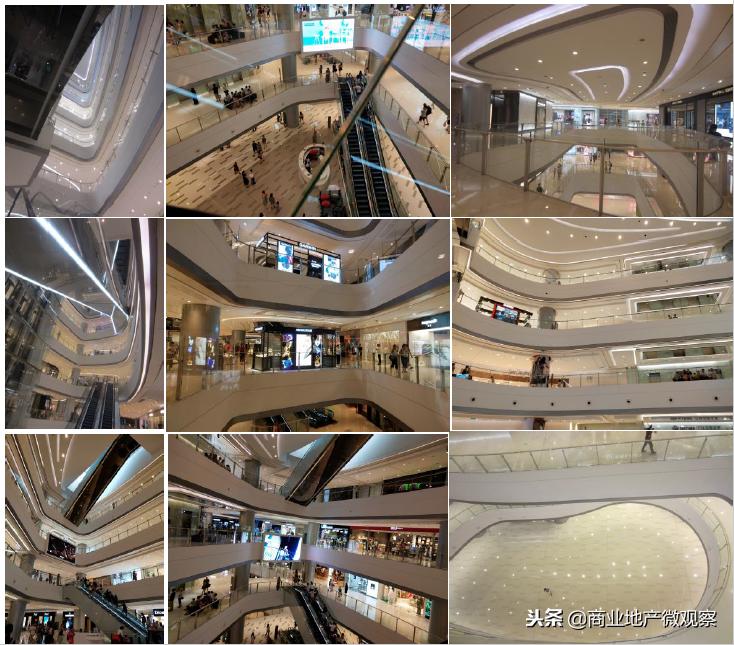 在成都看ifs熊猫,成都ifs上的爬墙大熊猫