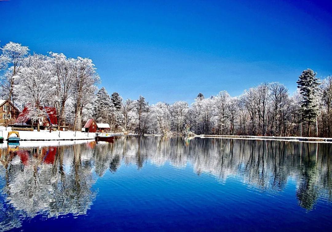 林业生态旅游科普,林草科普