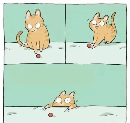 沙雕猫片，笑到床塌！自从做了卑微的铲屎官，比一个人时刺激多了