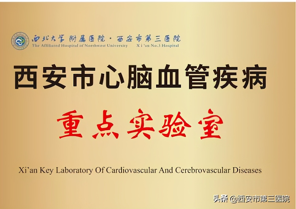 西安大学第三附属医院,西北大学附属医院西安市第三医院