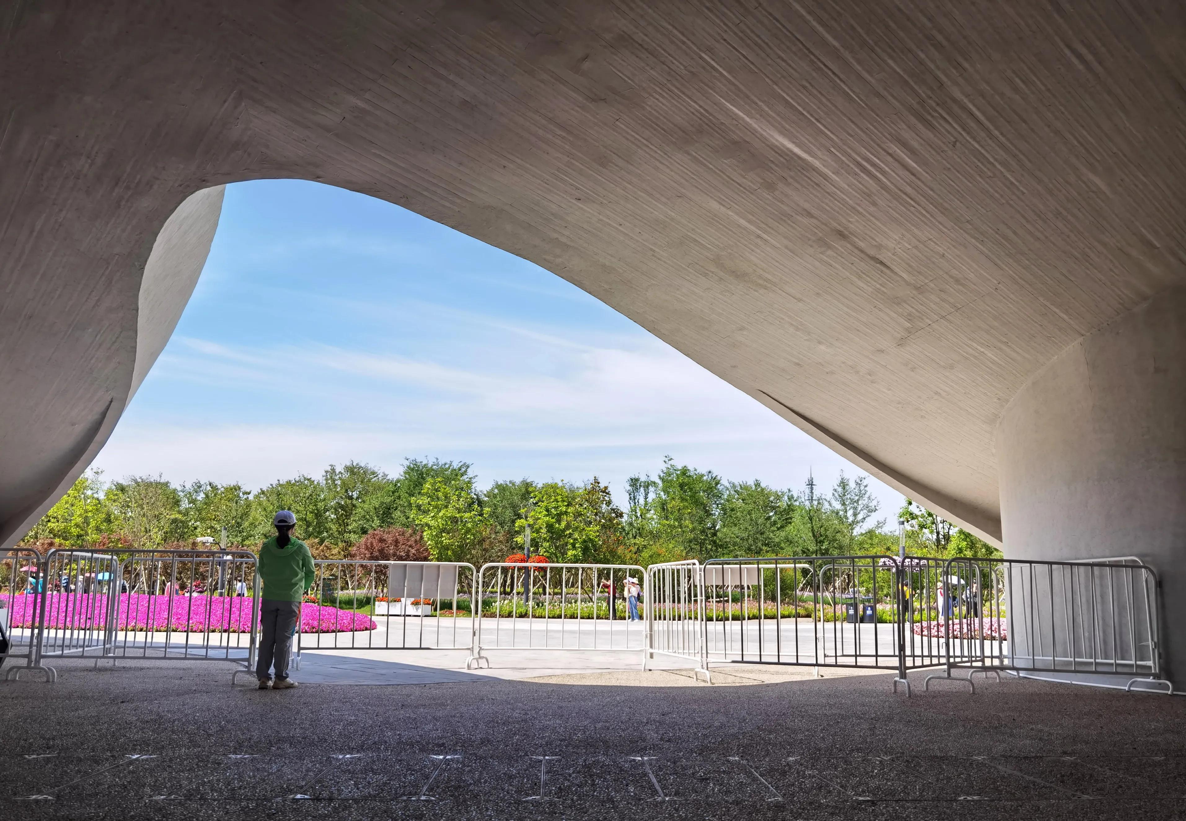 关于崇明花博会,崇明花博会全程花景