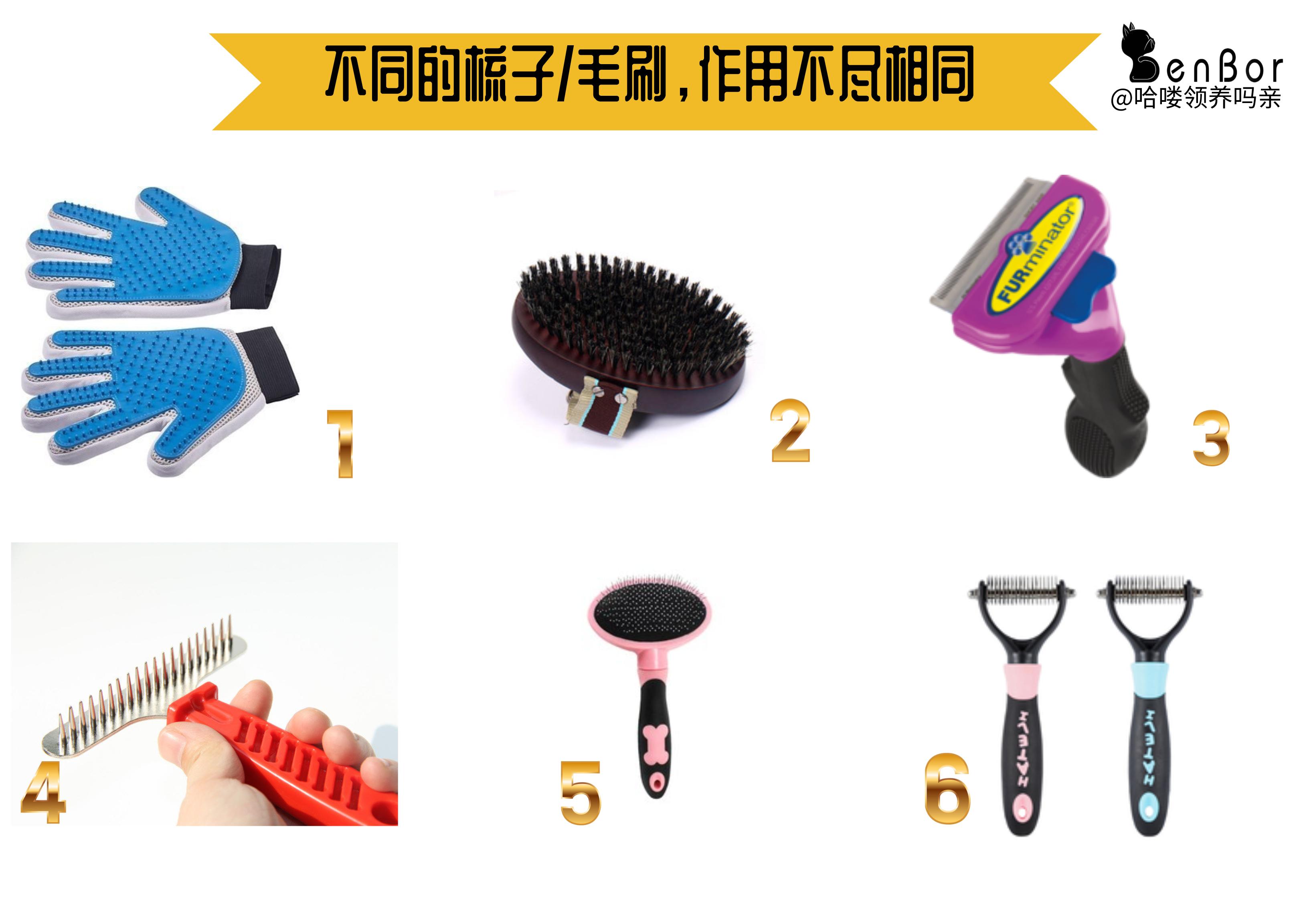 猫咪掉毛铲屎官怎么办,怎样解决猫咪掉毛非常严重的情况