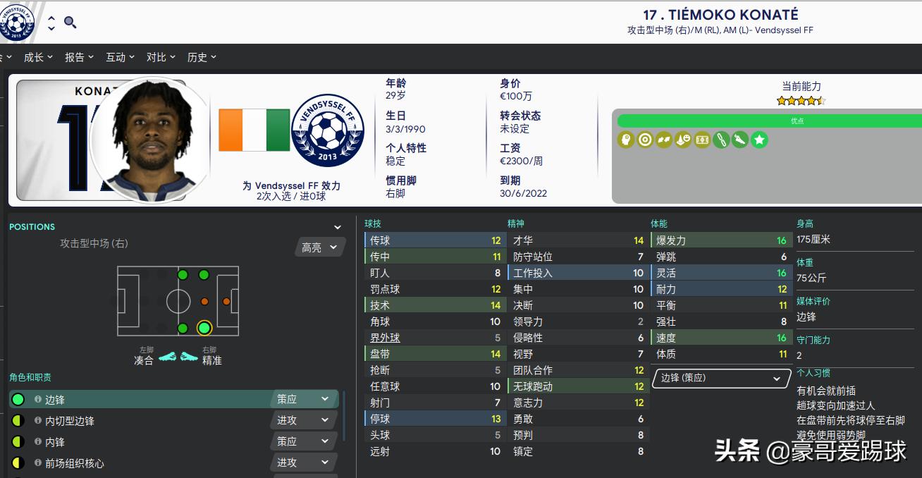 fm足球经理实力球员排名,fm2020足球经理