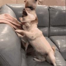 历届十大奥斯卡最佳电影,史上最好的电影排行榜