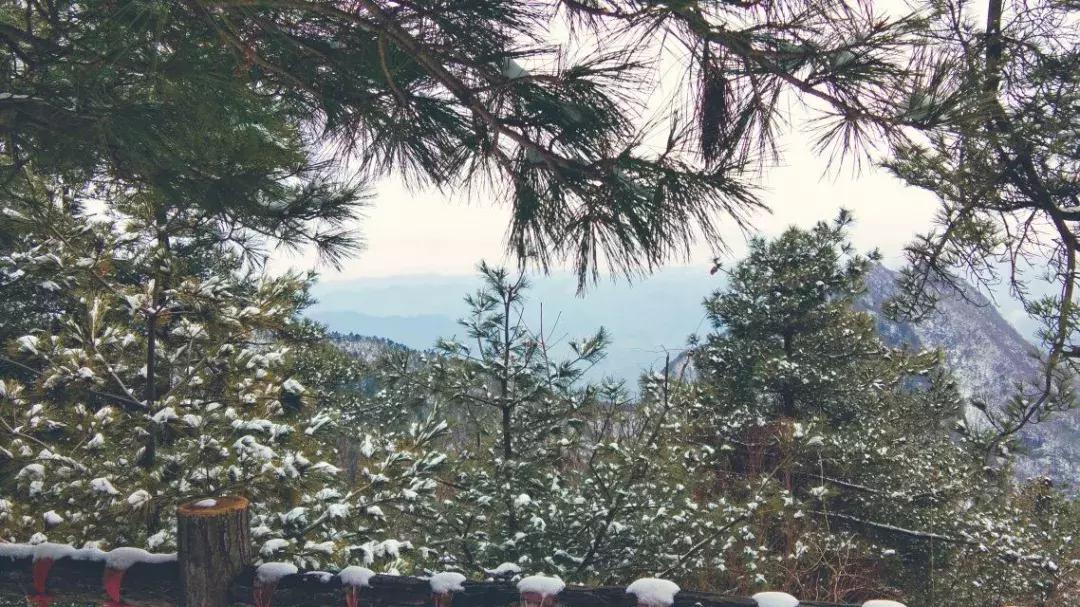 清明节古代寄语,清明节怀念古人句子