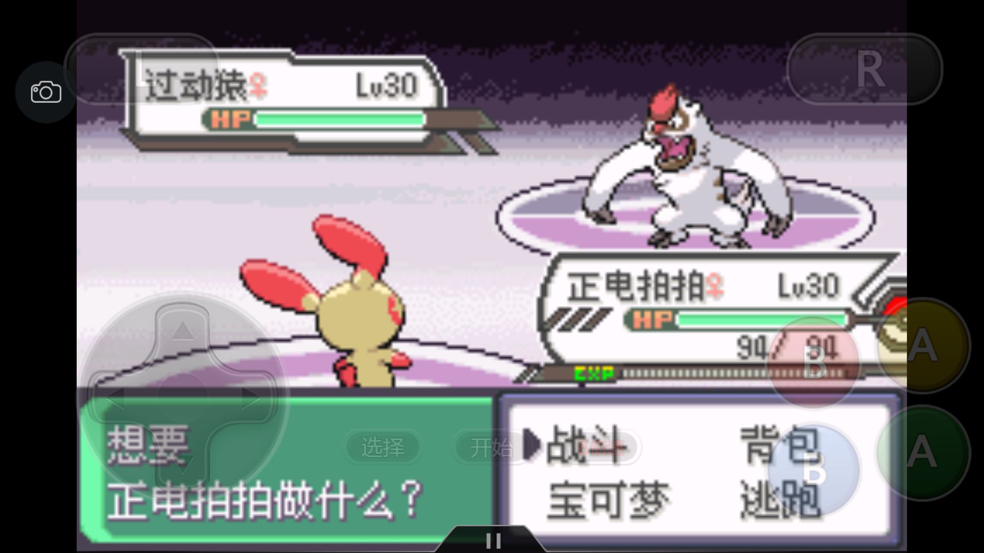 究极绿宝石5一周目攻略,究极绿宝石一周目神兽攻略