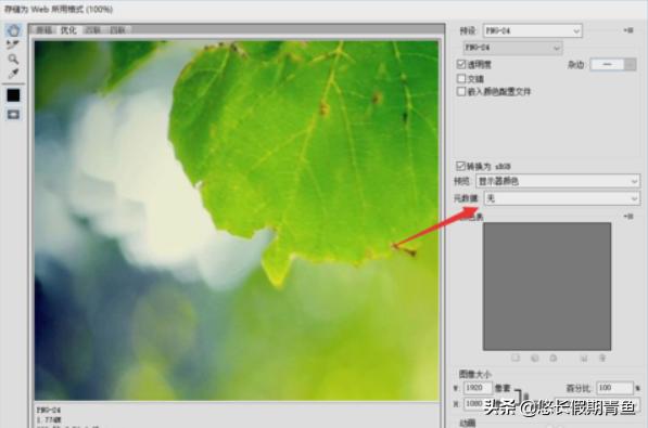 photoshop老是卡死是怎么回事,ps保存慢卡怎么解决