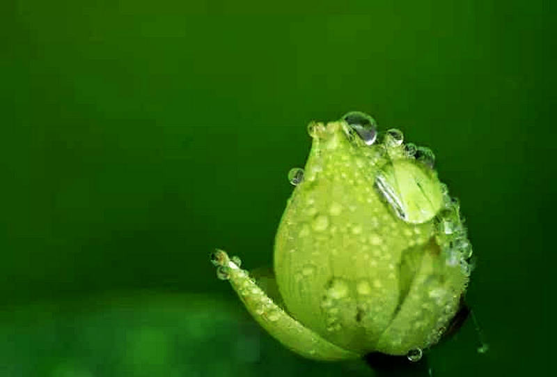 人的善心就是最好的风水,人的善念就是福气