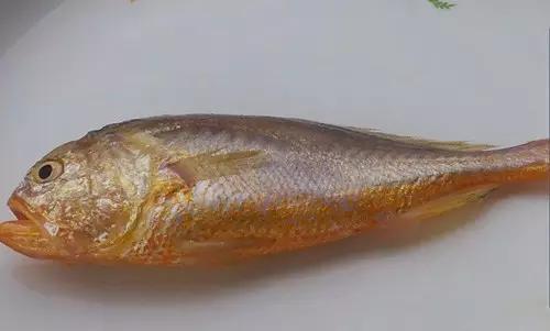 吃过最奢侈的菜,超级昂贵的五种顶级食材