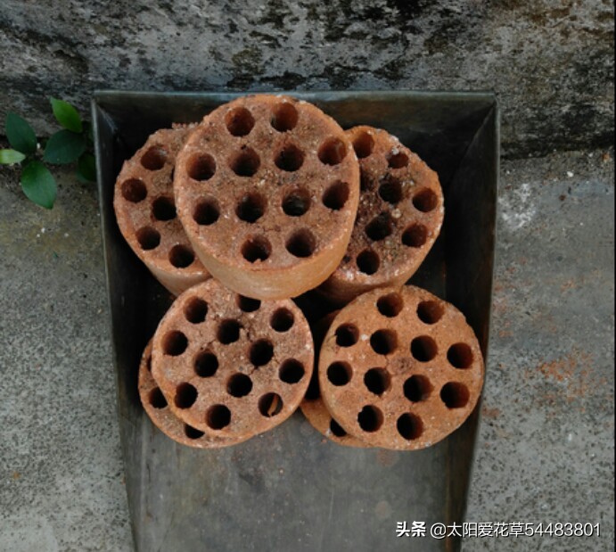 养花在花盆底下垫什么东西最好,养花盆用什么垫底好