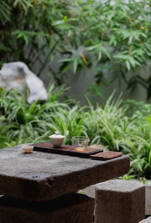 红茶绿茶白茶普洱茶哪个口感好,乌龙茶绿茶红茶白茶哪种好