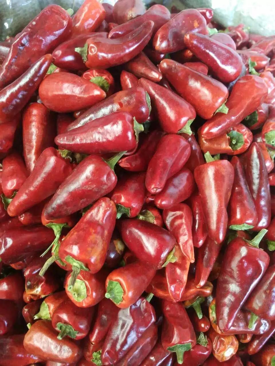 重庆师傅江湖菜,重庆火锅重庆火锅师傅