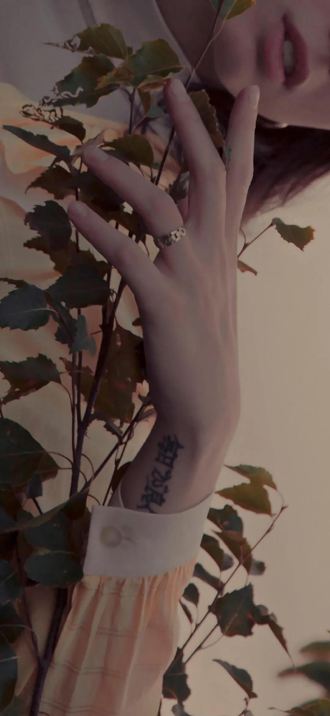 手机壁纸精选好看的养眼壁纸大图,平板壁纸9.7寸高清壁纸简约唯美