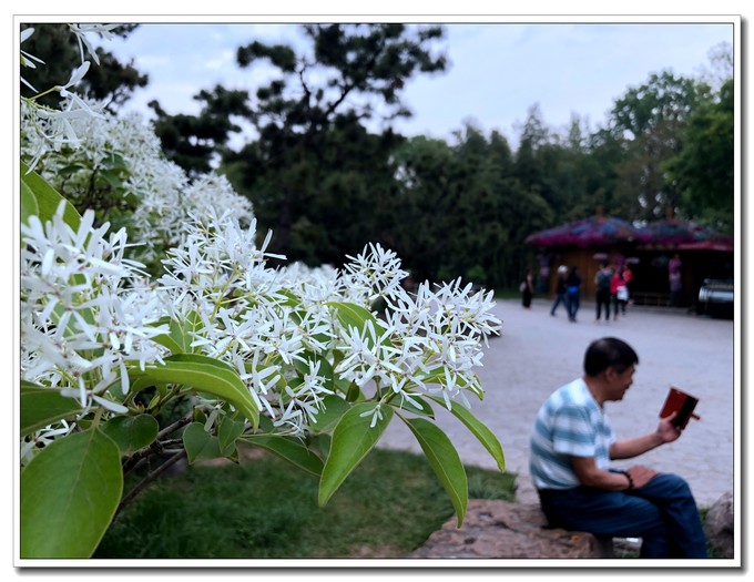 扬州吃喝玩乐一天攻略,扬州5天4晚吃住攻略