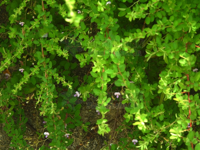 治中暑绝招,掐后颈治疗中暑