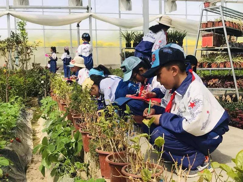【益西户外营地教育】金川第六小学野狐湾自然研学营圆满结束！