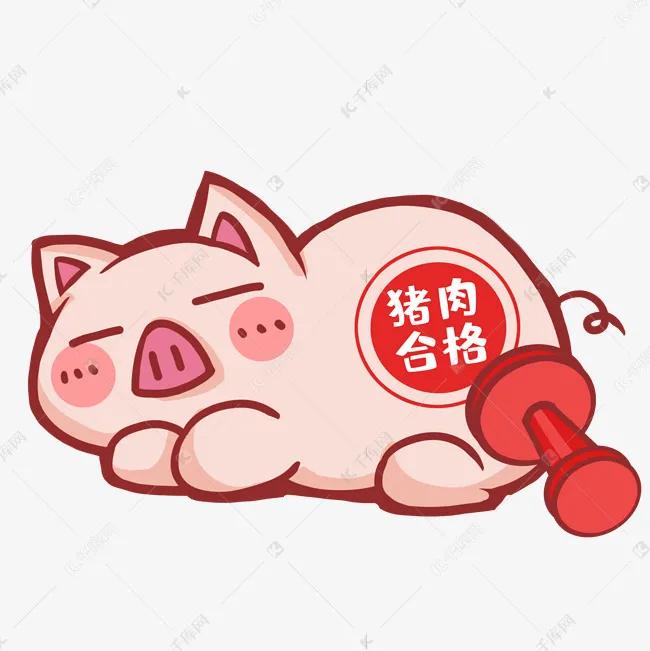 评级版什么意思,评级有什么用呢