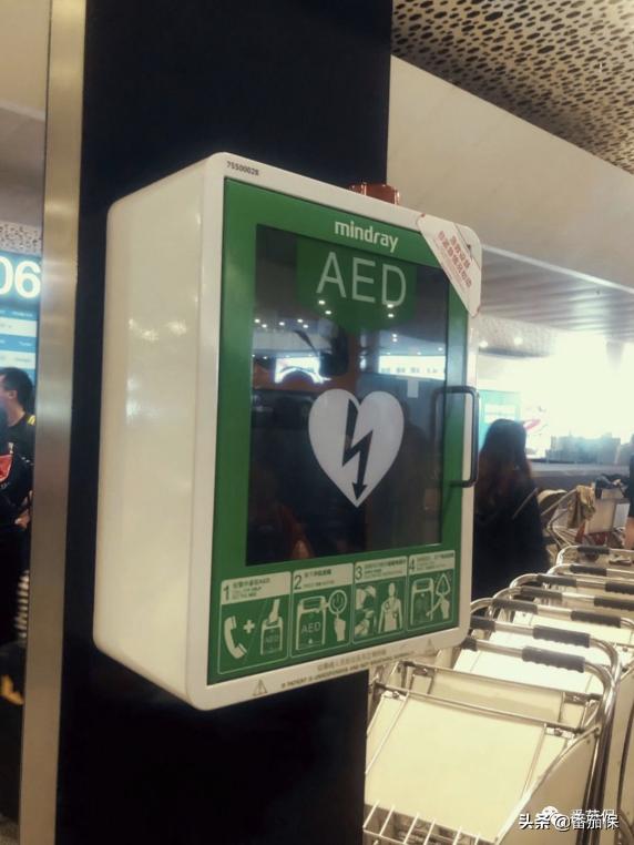 得了鼠疫有救吗,得了不治之症保险能赔多少