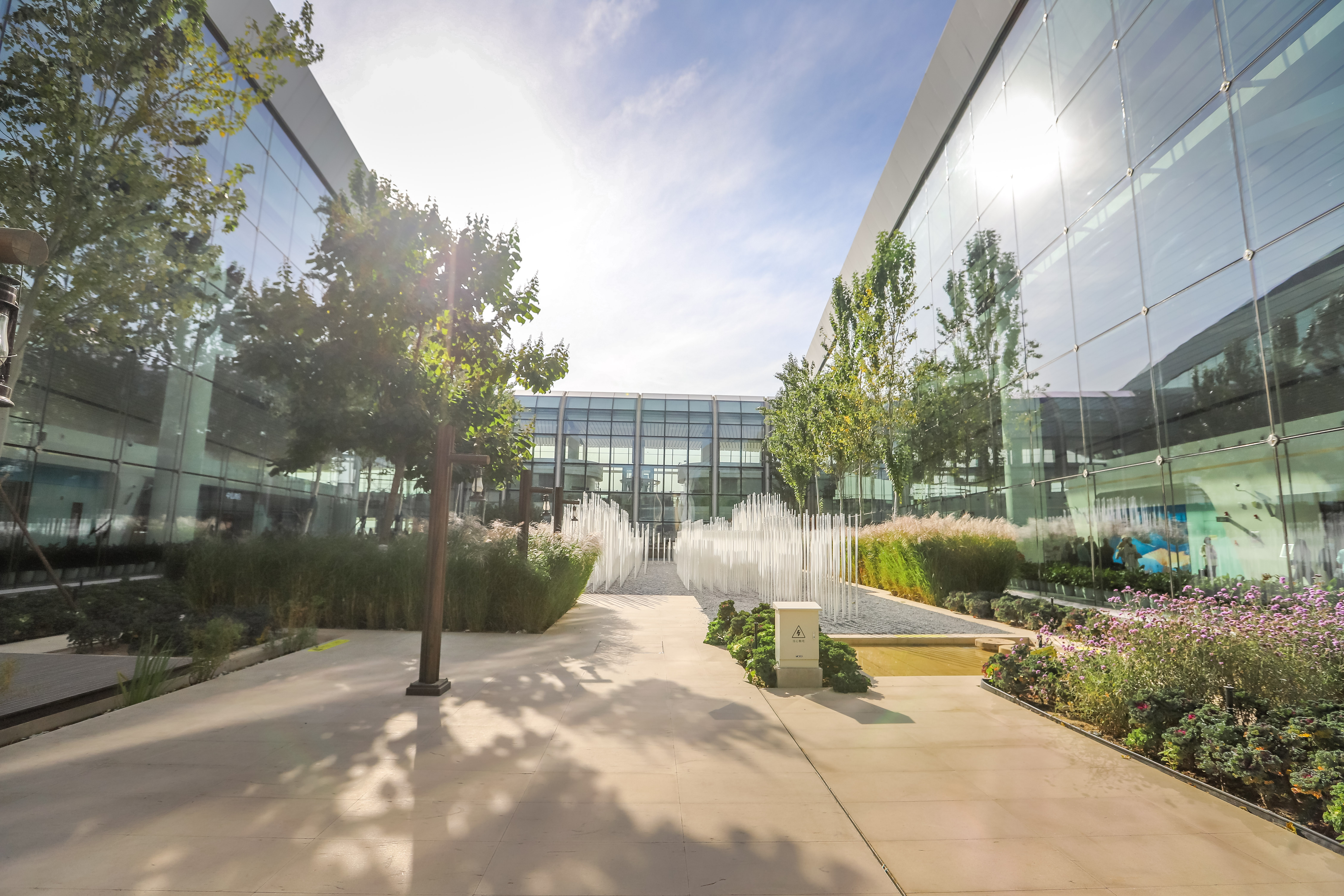 北京新晋网红打卡地,北京大兴机场网红打卡