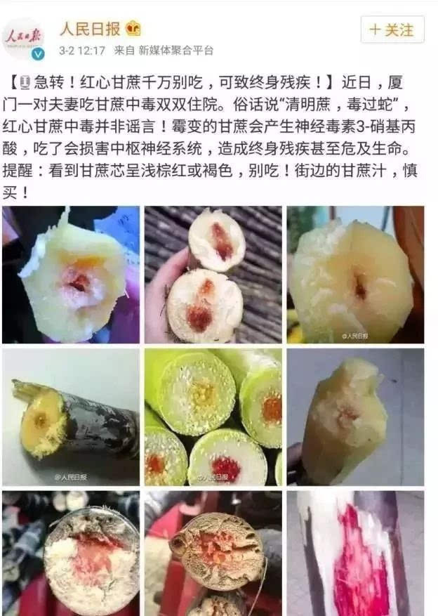 比毒蛇还毒的东西,比毒蛇还毒的生物