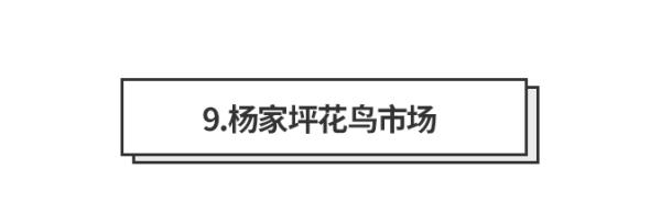 重庆最美拍照圣地推荐,重庆小众拍照集合地