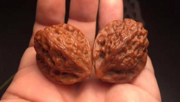 京城四大名核桃,中国有哪四种核桃最出名