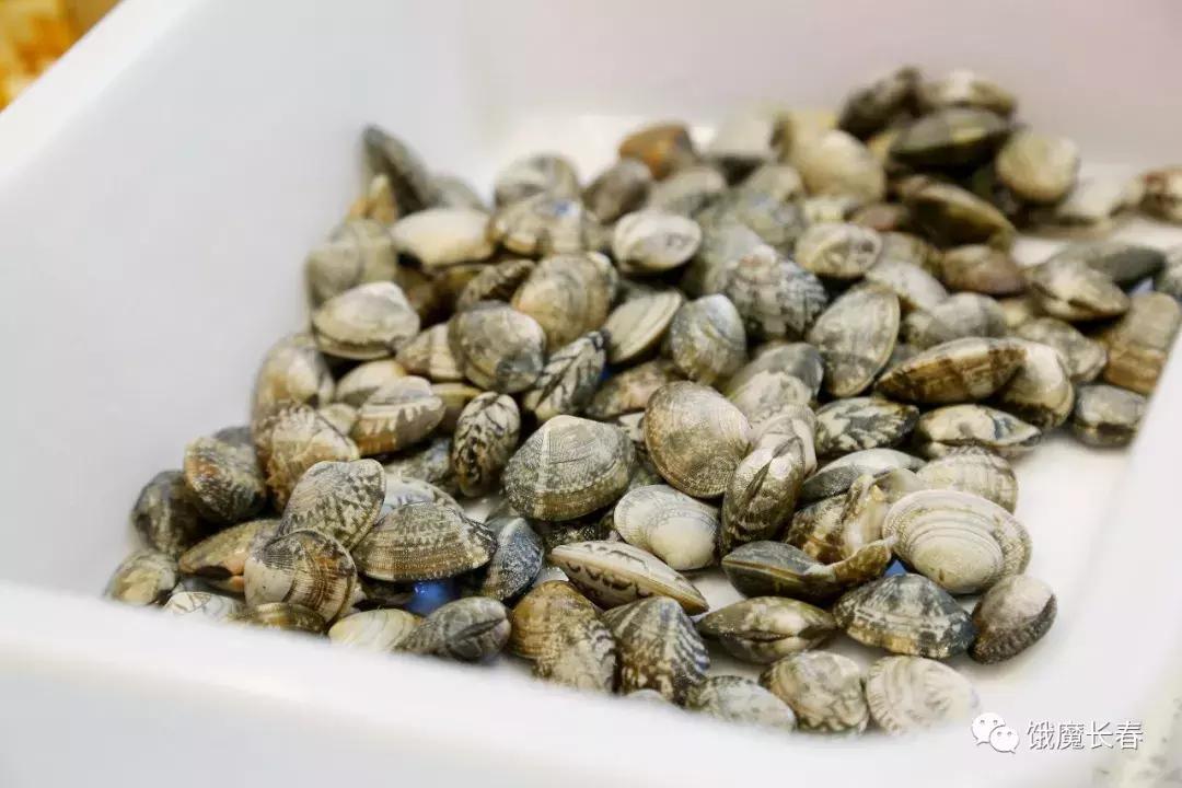 长春东北师范大学净月实验学校,长春东北师范大学青华校区