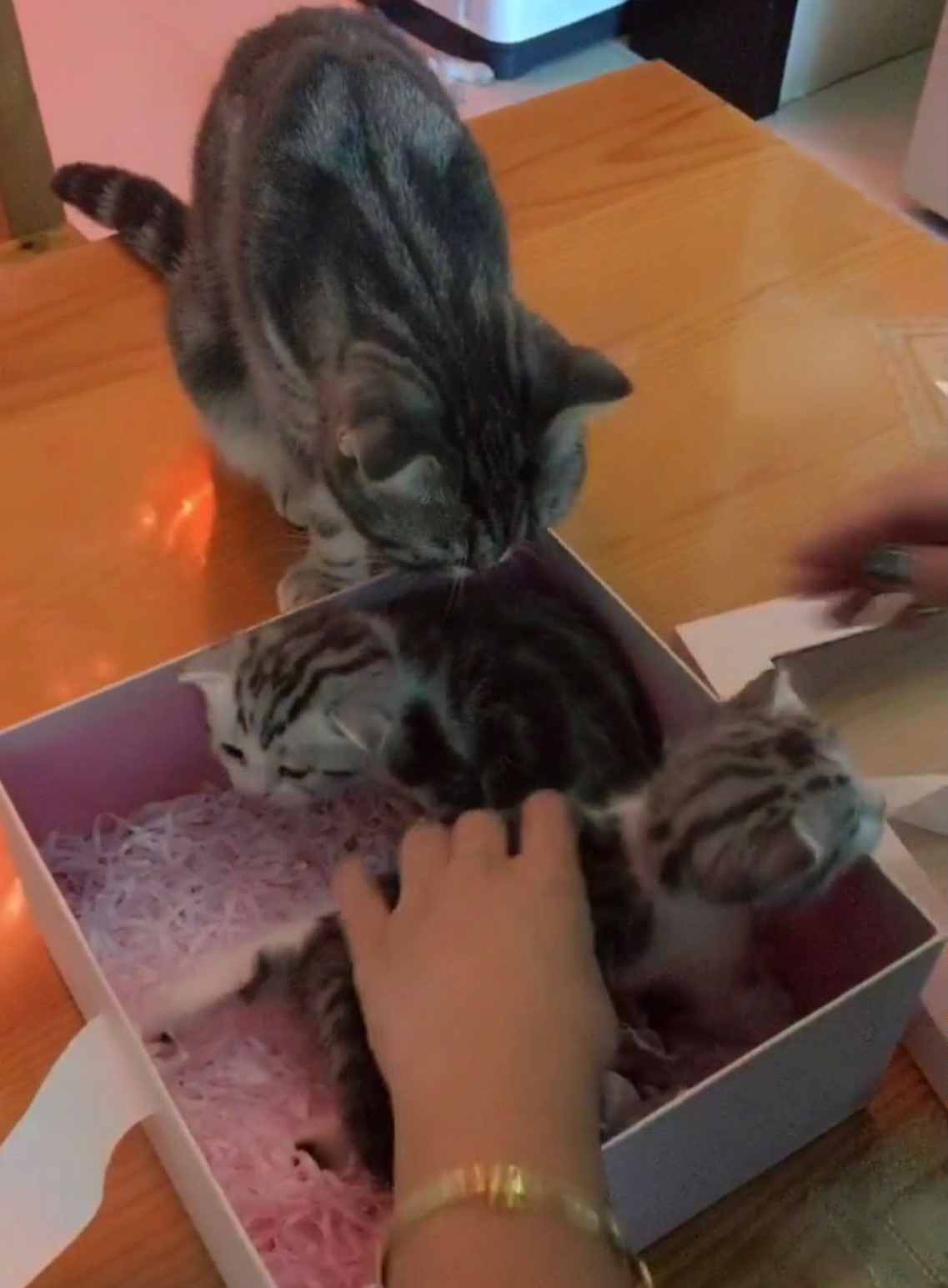 520送对象礼物攻略,520节日的时候送什么礼物最好情侣