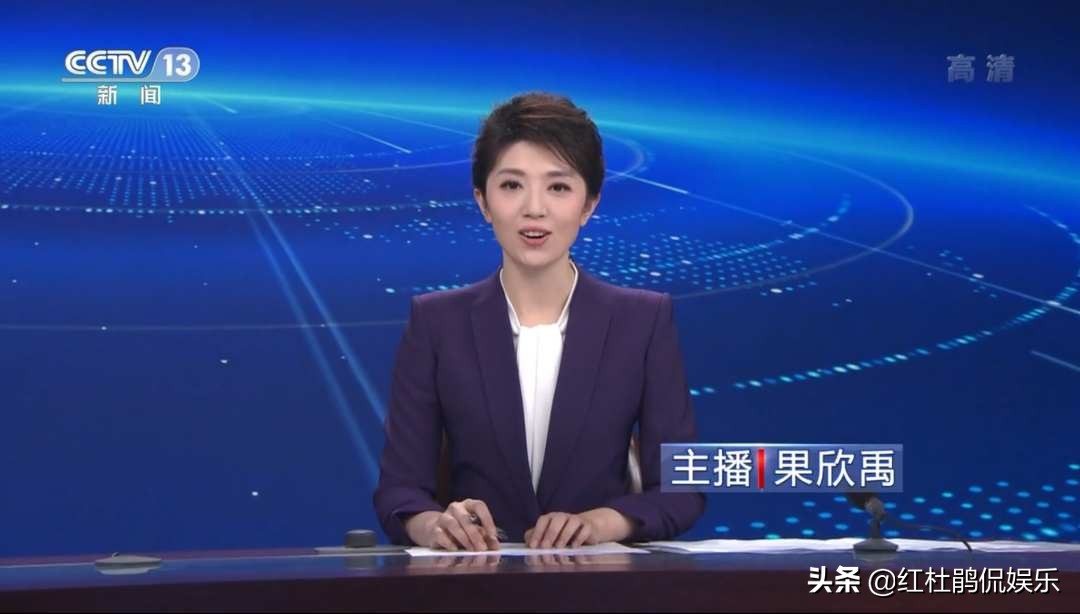 央视新闻女主持人果欣禹,央视主持人果欣禹简介