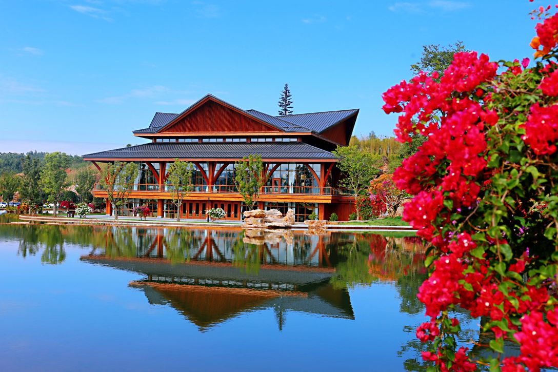 弥勒太平湖森林木屋酒店团购直播,弥勒太平湖森林木屋酒店有温泉
