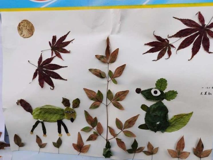 太有创意了!古城实小开展“秋•树叶”为主题的实践活动