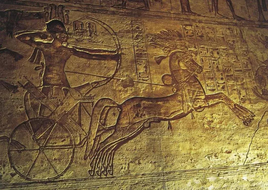 跟电视剧的主角学射箭？当心没学会就得病了