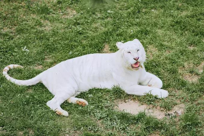 一生必去的中国50个最美原图,一生必去40个中国最美地方