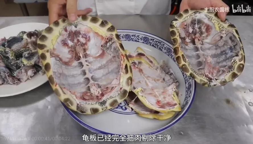 龟苓膏真的有龟吗,龟苓膏里真的有龟吗