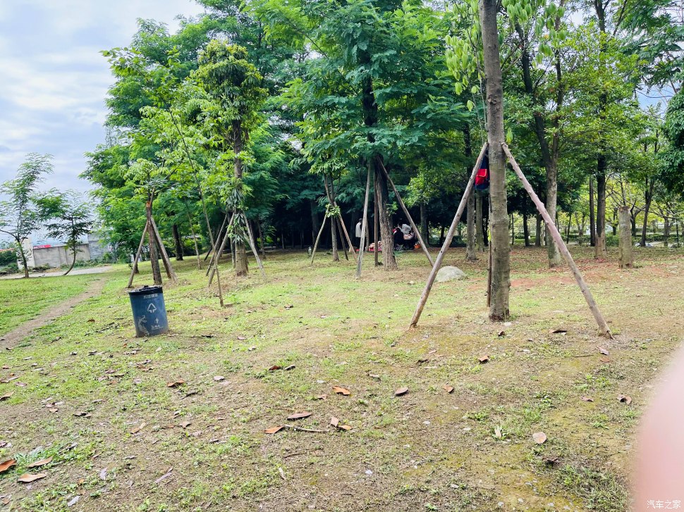 成都凤凰山公园可以爬山吗,成都凤凰山公园有什么好玩的