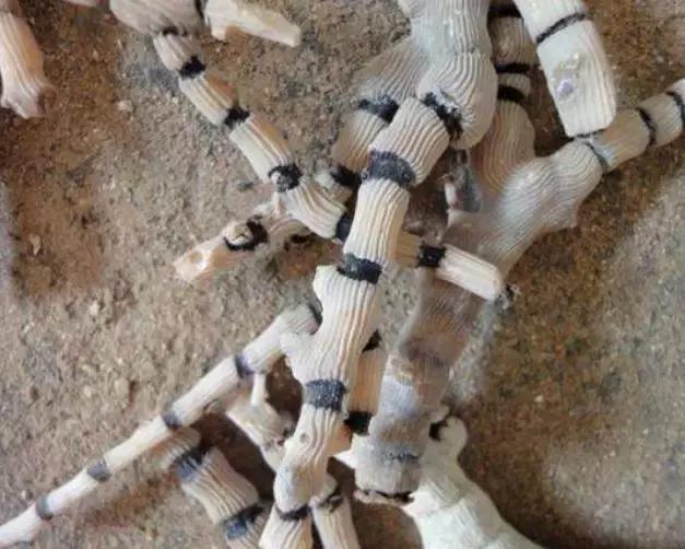 旅游区购买珠宝要注意,旅游买珠宝好吗