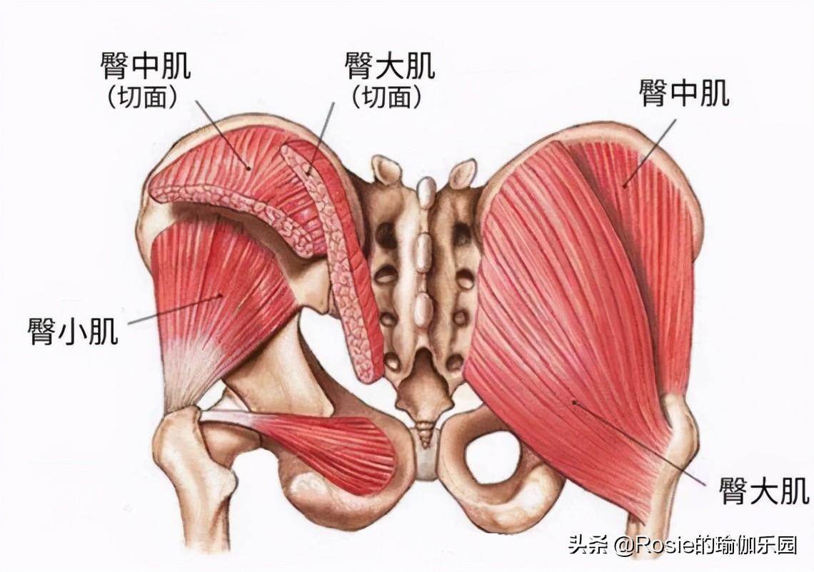 大s要离婚吗,大s要离婚了吗