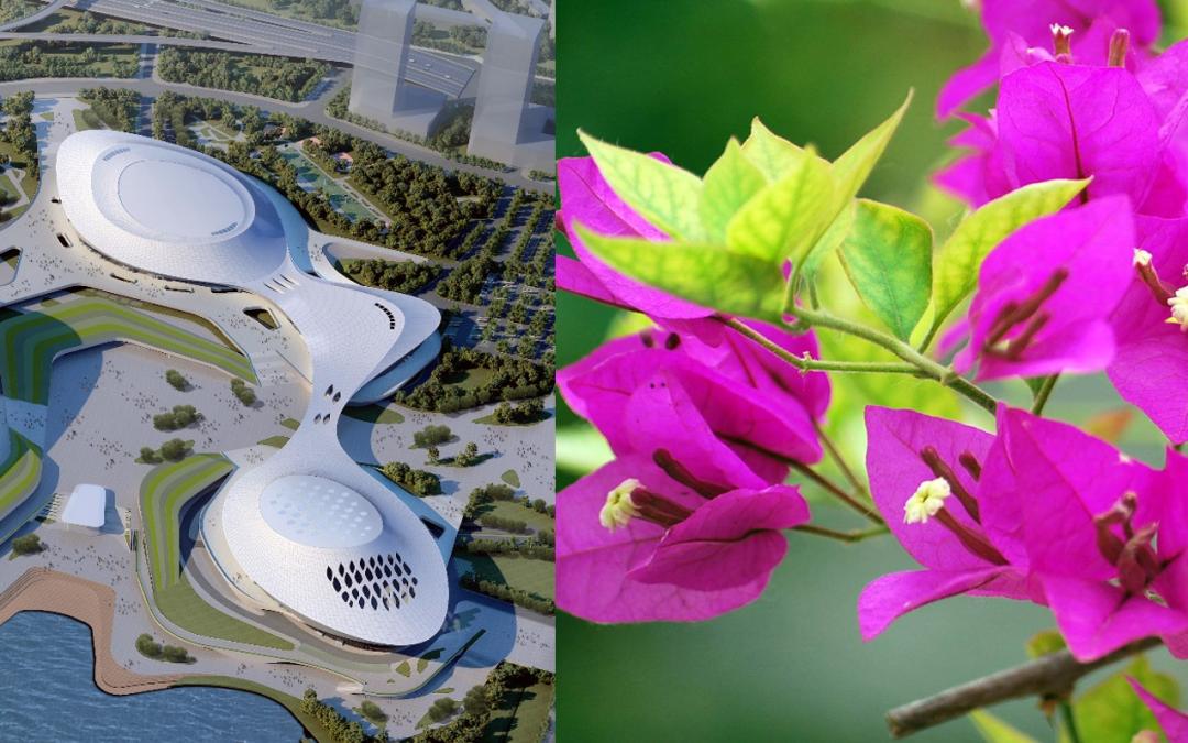 2023厦门亚洲杯,2023年亚洲杯体育场