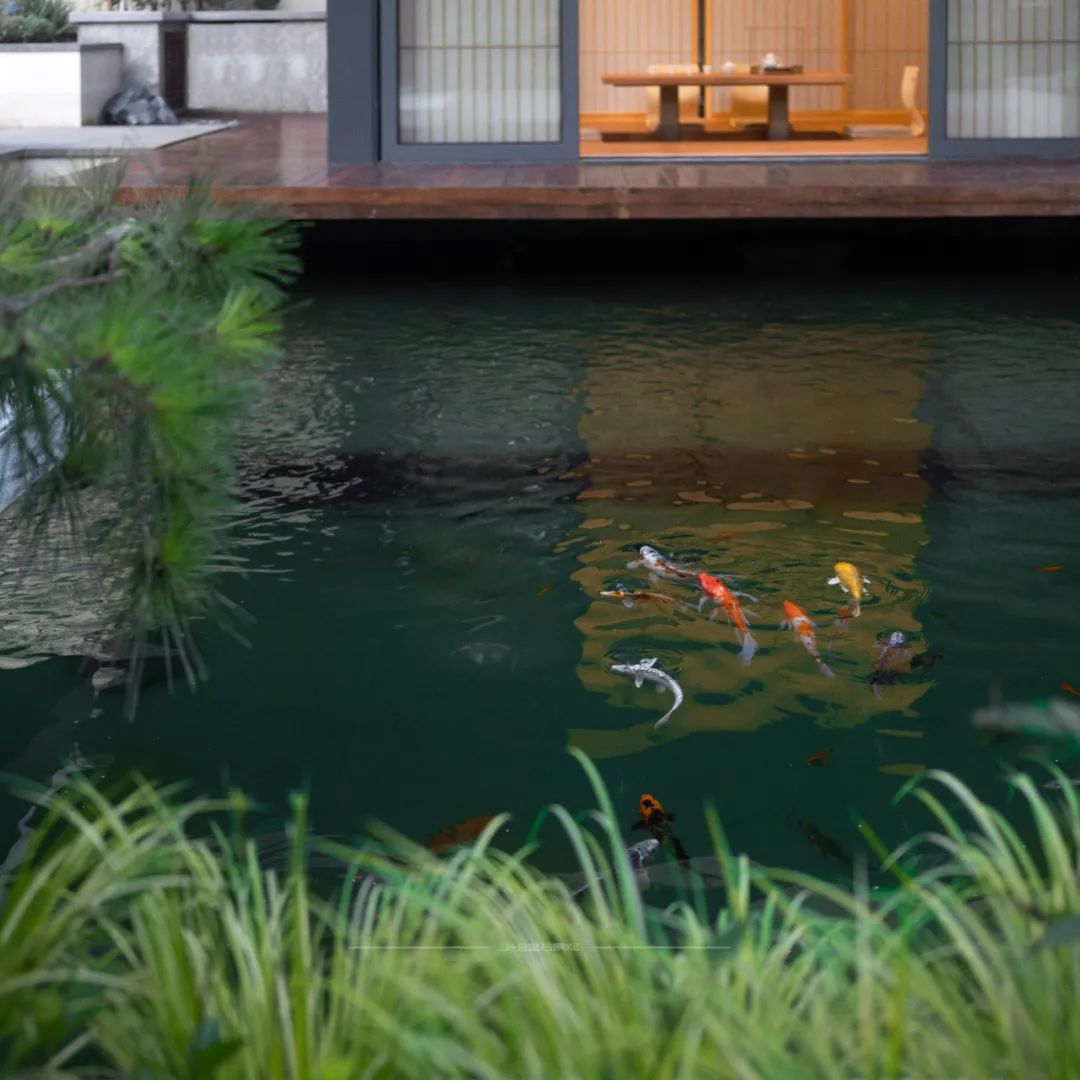 一处优雅恬静的小院,美到骨子里的中式院子