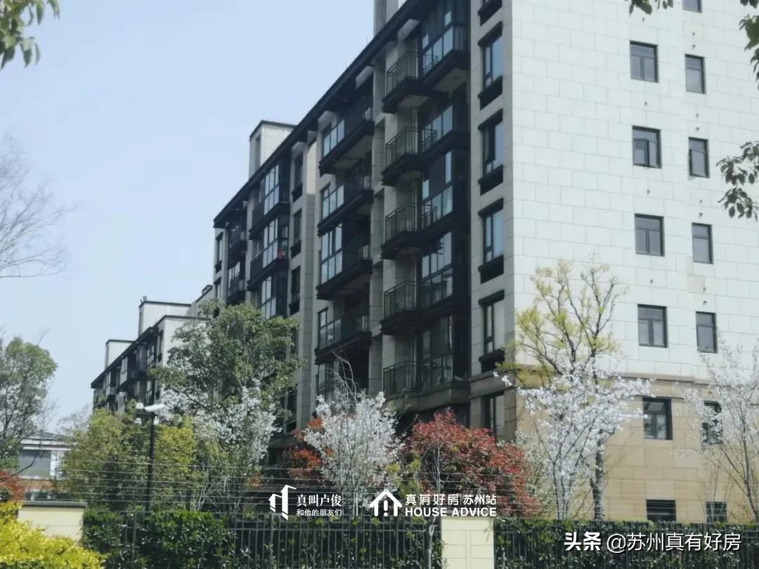 涓轰粈涔堜拱鑻忓窞鍥尯,鑻忓窞鍥尯鍊煎緱涔板悧