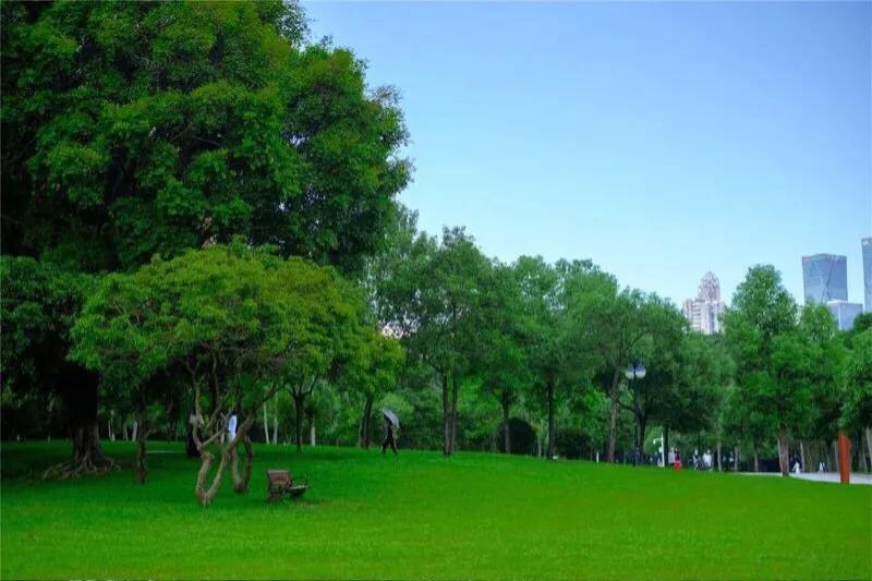 深圳花海公园推荐景点有哪些,深圳花海公园地址在哪里