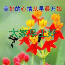 早上好动态图片大全最美问候,最美早上好祝福语动态美图